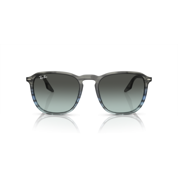 Ray-Ban RB 2203 1391GK Güneş Gözlüğü, Ekartman: 52
