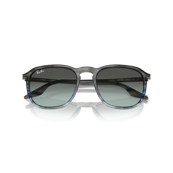Ray-Ban RB 2203 1391GK Güneş Gözlüğü, Ekartman: 55