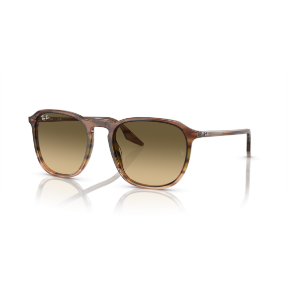Ray-Ban RB 2203 13920A Güneş Gözlüğü, Ekartman: 52