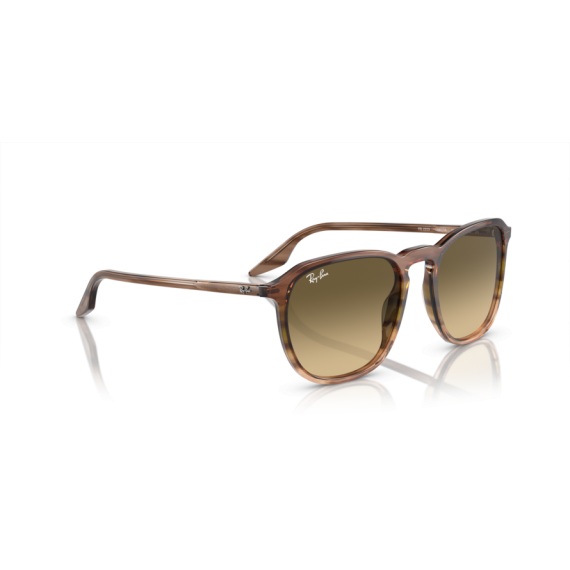Ray-Ban RB 2203 13920A Güneş Gözlüğü, Ekartman: 52