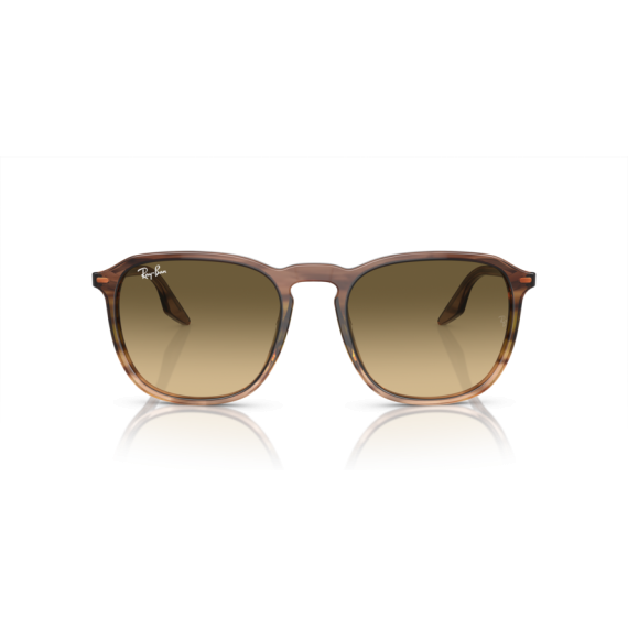 Ray-Ban RB 2203 13920A Güneş Gözlüğü, Ekartman: 55