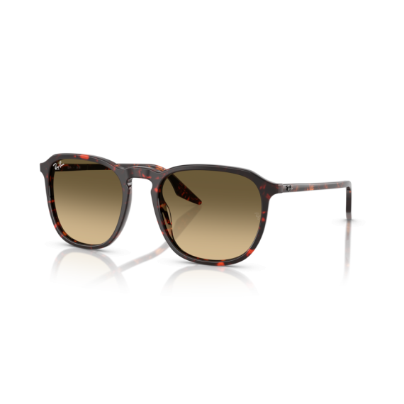Ray-Ban RB 2203 14290A Güneş Gözlüğü, Ekartman: 52
