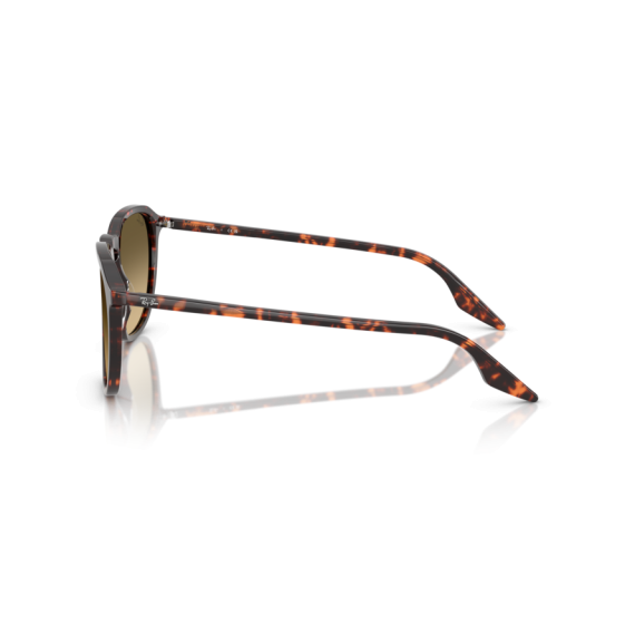 Ray-Ban RB 2203 14290A Güneş Gözlüğü, Ekartman: 52