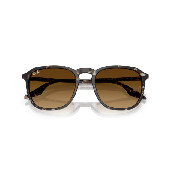 Ray-Ban RB 2203 143185 Güneş Gözlüğü, Ekartman: 52