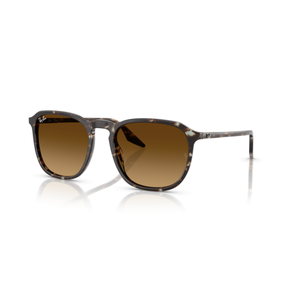 Ray-Ban RB 2203 143185 Güneş Gözlüğü, Ekartman: 55