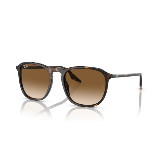 Ray-Ban RB 2203 902/51 Güneş Gözlüğü, Ekartman: 52