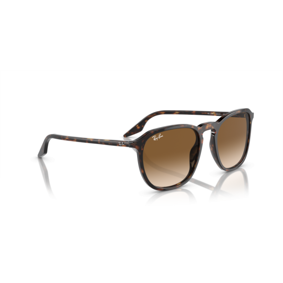 Ray-Ban RB 2203 902/51 Güneş Gözlüğü, Ekartman: 52