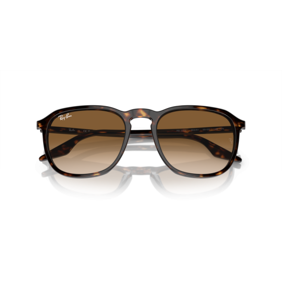 Ray-Ban RB 2203 902/51 Güneş Gözlüğü, Ekartman: 52