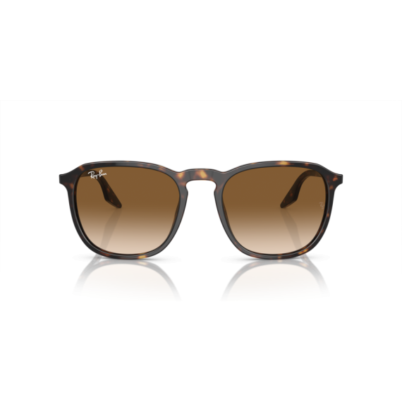 Ray-Ban RB 2203 902/51 Güneş Gözlüğü, Ekartman: 55