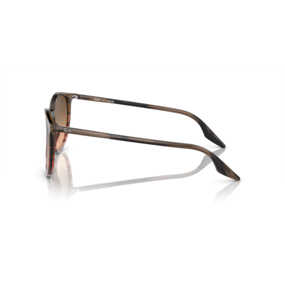 Ray-Ban RB 2204 13953B Güneş Gözlüğü, Ekartman: 51
