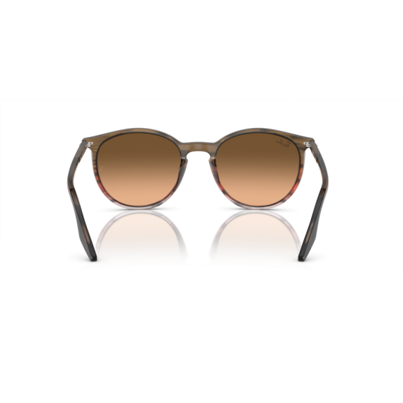 Ray-Ban RB 2204 13953B Güneş Gözlüğü, Ekartman: 51