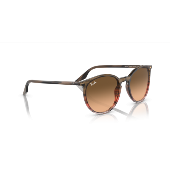 Ray-Ban RB 2204 13953B Güneş Gözlüğü, Ekartman: 51