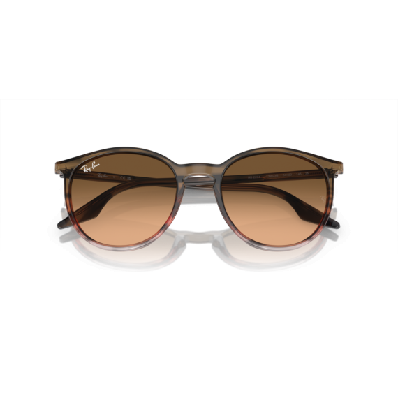 Ray-Ban RB 2204 13953B Güneş Gözlüğü, Ekartman: 54