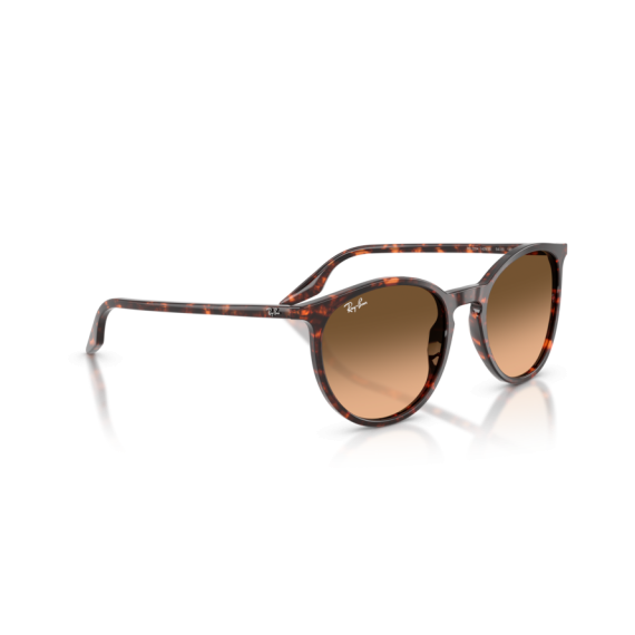 Ray-Ban RB 2204 14293B Güneş Gözlüğü, Ekartman: 51