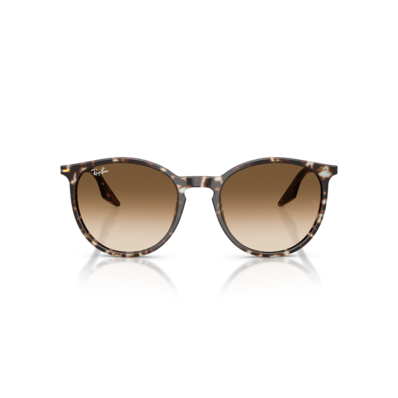 Ray-Ban RB 2204 143151 Güneş Gözlüğü, Ekartman: 51