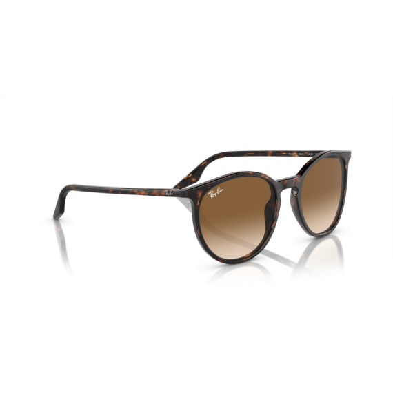 Ray-Ban RB 2204 902/51 Güneş Gözlüğü, Ekartman: 51