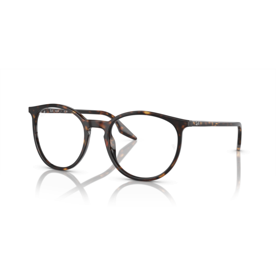 Ray-Ban RB 2204 902/GJ Güneş Gözlüğü, Ekartman: 51