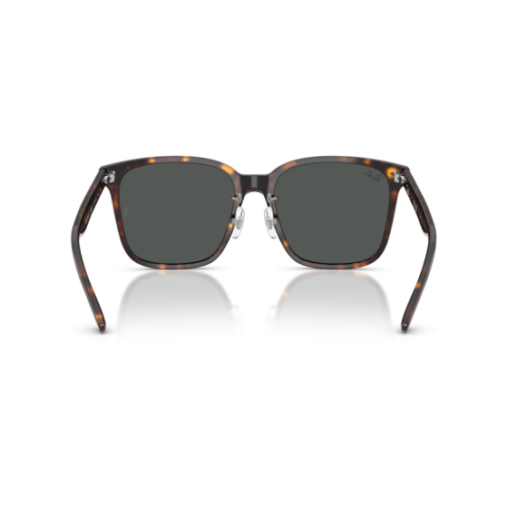 Ray-Ban RB 2206D 710/87 Güneş Gözlüğü
