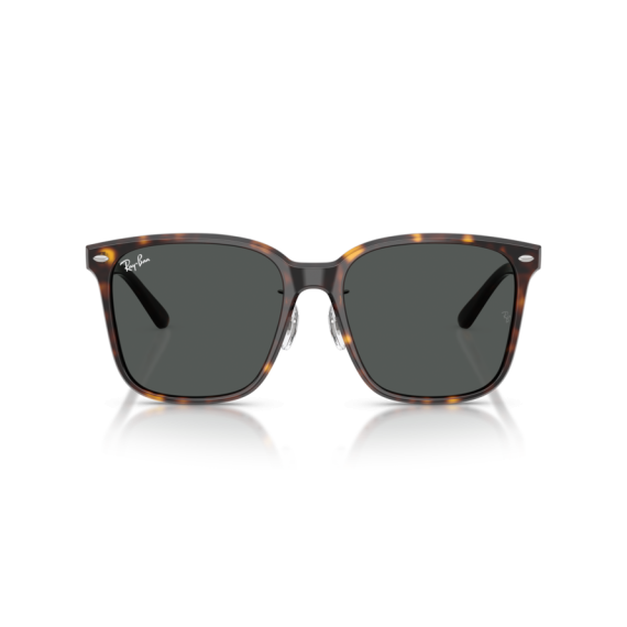 Ray-Ban RB 2206D 710/87 Güneş Gözlüğü