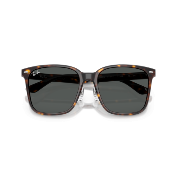 Ray-Ban RB 2206D 710/87 Güneş Gözlüğü