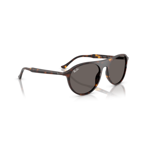 Ray-Ban RB 2215 902/B1 Güneş Gözlüğü, Ekartman: 56
