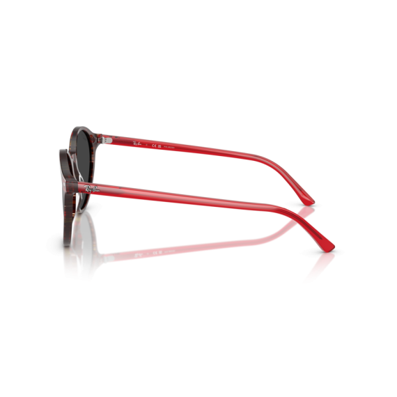 Ray-Ban RB 2230 141948 Güneş Gözlüğü, Polarize: Evet, Ekartman: 53