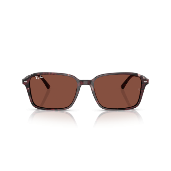 Ray-Ban RB 2231 1416C5 Güneş Gözlüğü, Ekartman: 58
