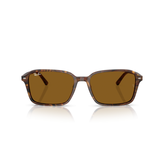 Ray-Ban RB 2231 141833 Güneş Gözlüğü, Ekartman: 58