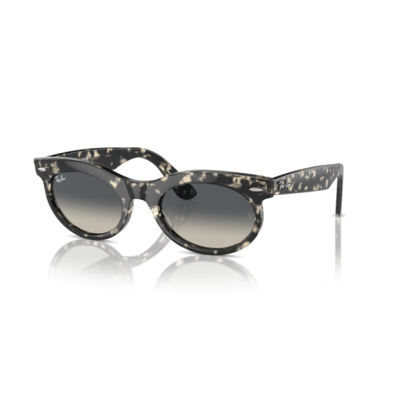 Ray-Ban RB 2242 133371 Güneş Gözlüğü, Ekartman: 50
