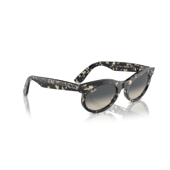 Ray-Ban RB 2242 133371 Güneş Gözlüğü, Ekartman: 53