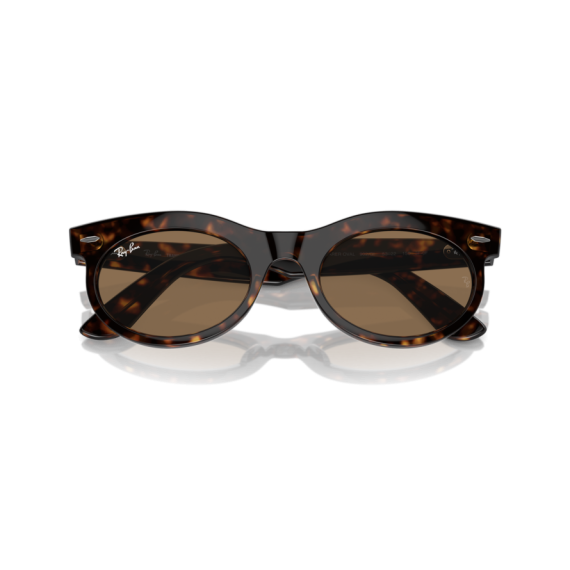Ray-Ban RB 2242 902/GI Güneş Gözlüğü, Ekartman: 53