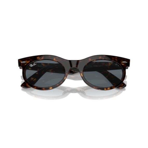 Ray-Ban RB 2242 902/R5 Güneş Gözlüğü, Ekartman: 53