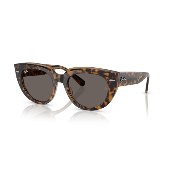 Ray-Ban RB 2286 1292B1 Güneş Gözlüğü, Ekartman: 49