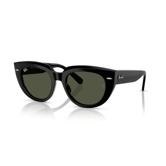 Ray-Ban RB 2286 901/31 Güneş Gözlüğü, Ekartman: 52