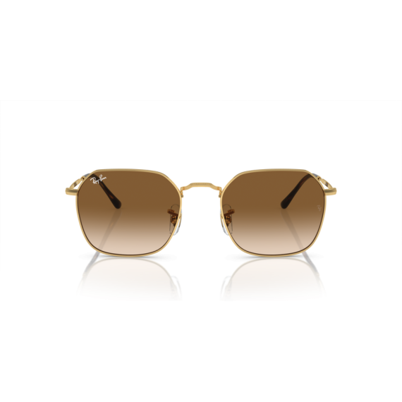 Ray-Ban RB 3694 001/51 Güneş Gözlüğü, Ekartman: 53