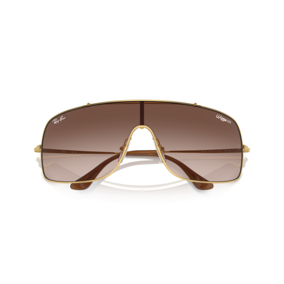 Ray-Ban RB 3897 001/13 Güneş Gözlüğü