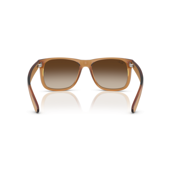 Ray-Ban RB 4165 681413 Güneş Gözlüğü