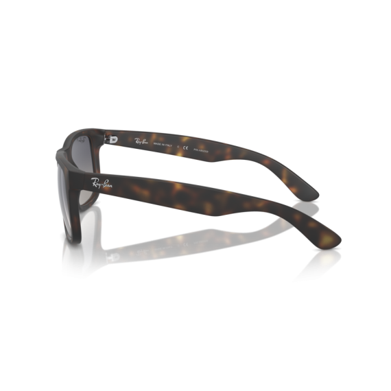 Ray-Ban RB 4165 865/8S Güneş Gözlüğü