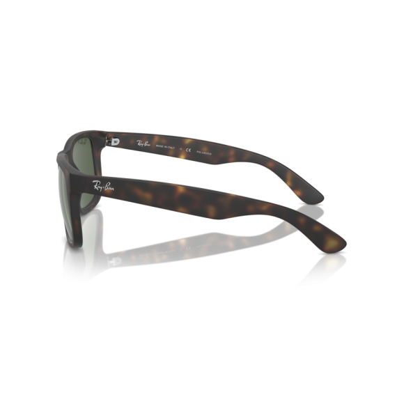 Ray-Ban RB 4165 865/9A Güneş Gözlüğü