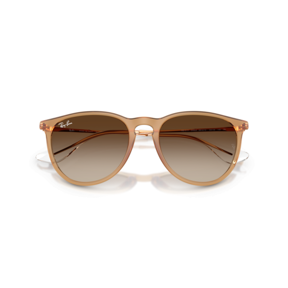 Ray-Ban RB 4171 681413 Güneş Gözlüğü