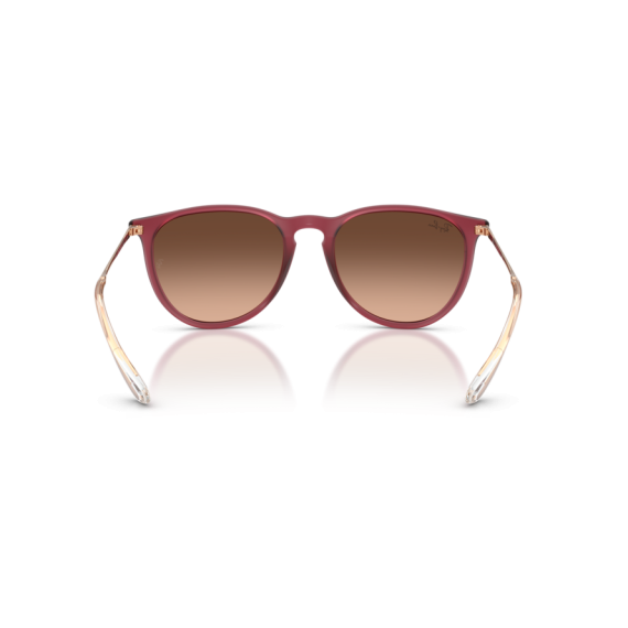 Ray-Ban RB 4171 6815A5 Güneş Gözlüğü