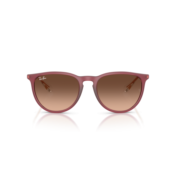 Ray-Ban RB 4171 6815A5 Güneş Gözlüğü