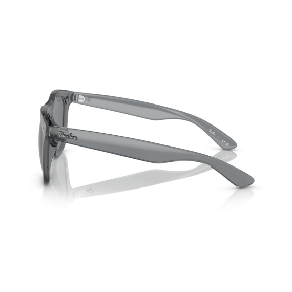 Ray-Ban RB 4260D 645087 Güneş Gözlüğü