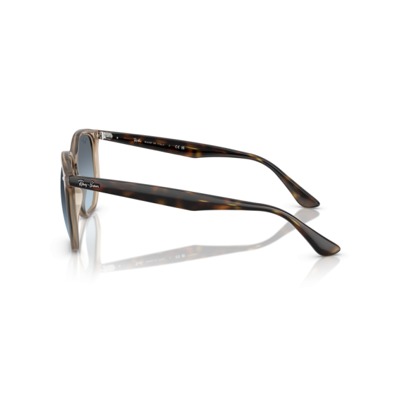 Ray-Ban RB 4306 6788V1 Güneş Gözlüğü