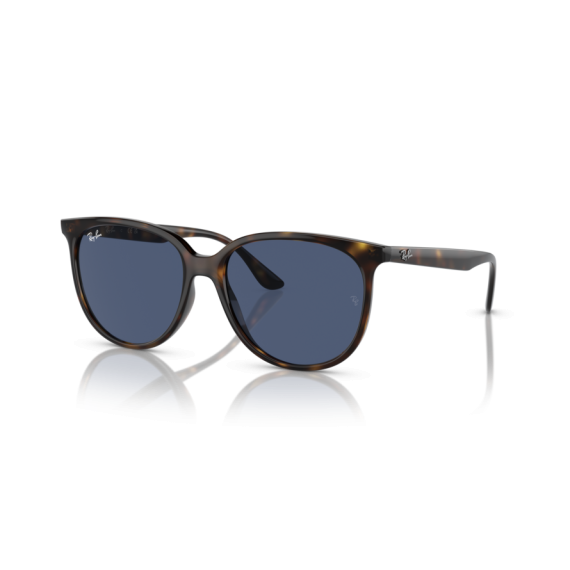 Ray-Ban RB 4378 710/80 Güneş Gözlüğü