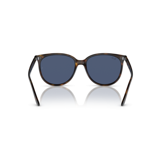 Ray-Ban RB 4378 710/80 Güneş Gözlüğü