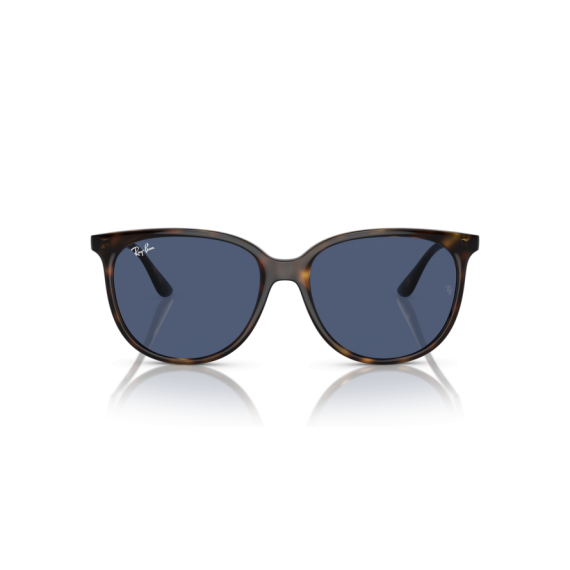 Ray-Ban RB 4378 710/80 Güneş Gözlüğü