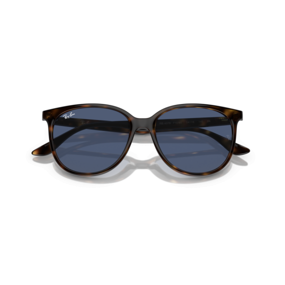 Ray-Ban RB 4378 710/80 Güneş Gözlüğü