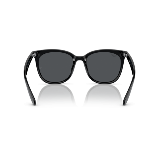 Ray-Ban RB 4379D 601/87 Güneş Gözlüğü