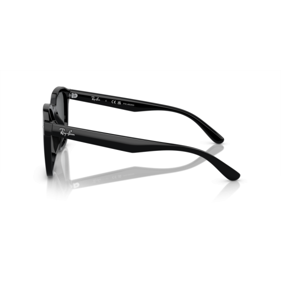 Ray-Ban RB 4392D 601/81 Güneş Gözlüğü